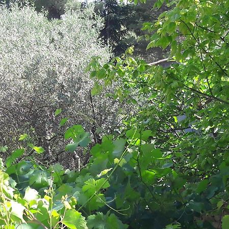 مبيت وإفطار كارْبُنْترا Bastide Sainte Agnes المظهر الخارجي الصورة